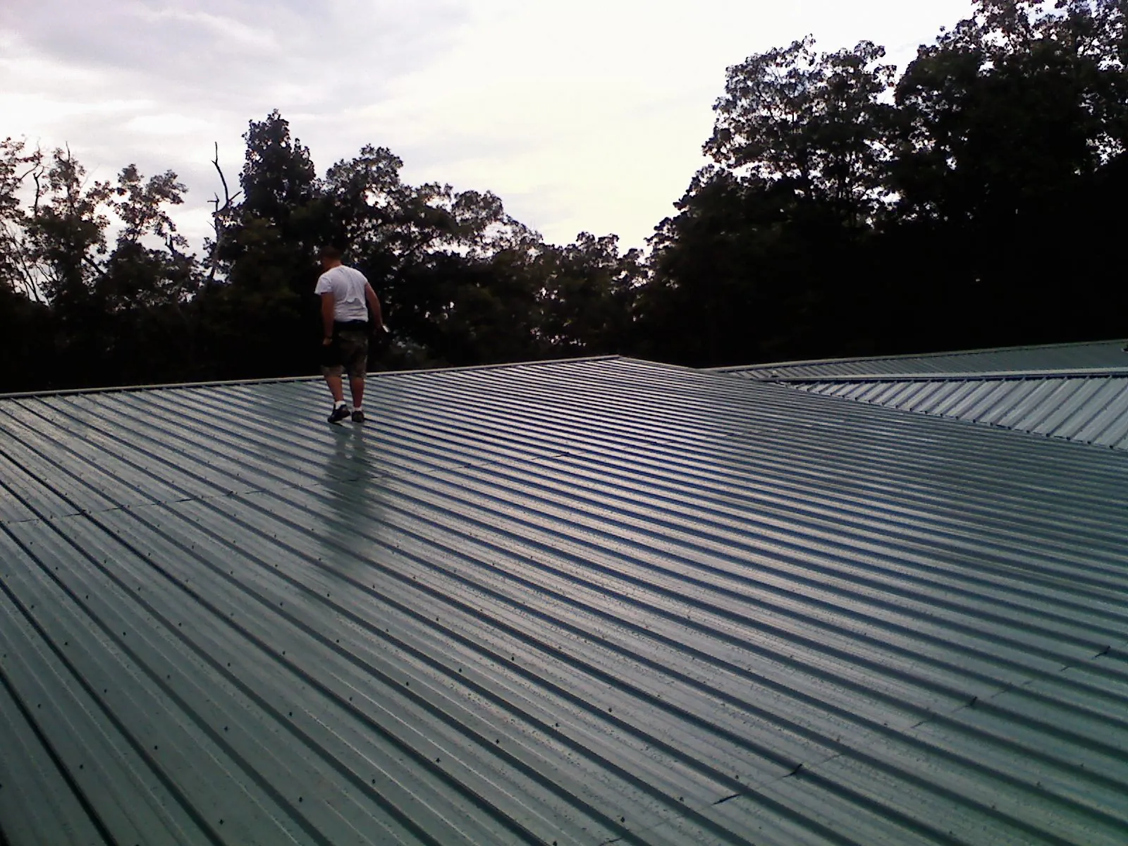 Roofer walking a wide expanse of new green metal roofing in Stevensville